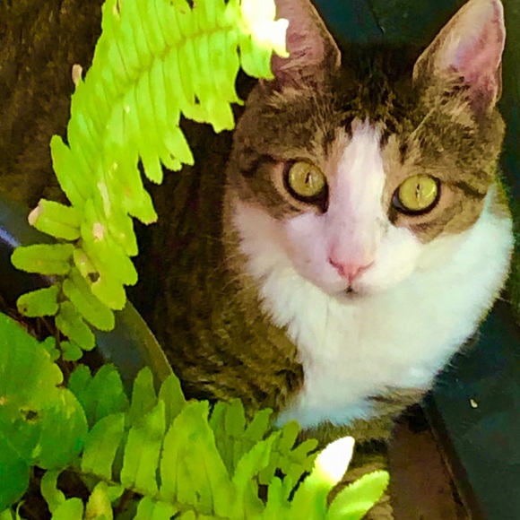 Meet your Posher, Evey - Picture 2 of 8